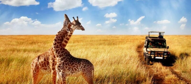 3 Day Hluhluwe & Isimangaliso Wetlands Pk Tour from Durban - Final Thoughts