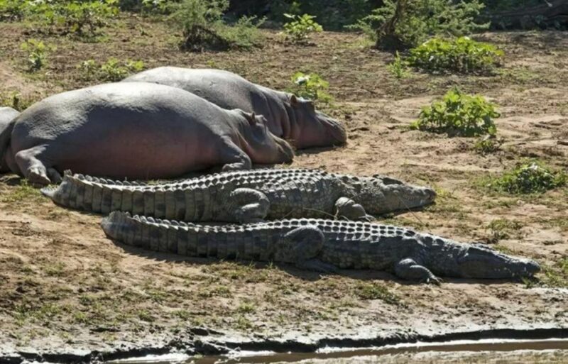 3 Day Hluhluwe & Isimangaliso Wetlands Pk Tour from Durban - FAQs