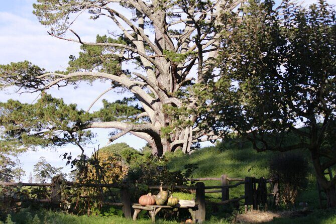 3 Day Hobbiton Rotorua Waiotapu Taupo and Waitomo Caves Tour - The Detailed Breakdown of the 3-Day Itinerary