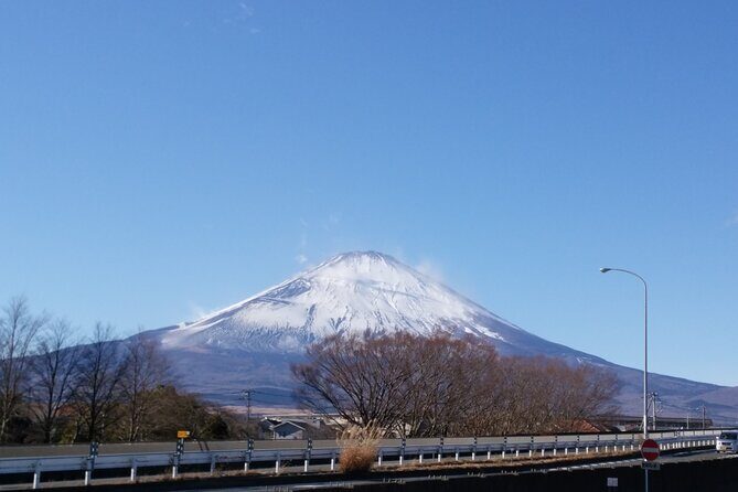 3 Day Japan Highlights Tour: Tokyo, Mt.Fuji, Nara, Kyoto, Osaka - An Overview of the Experience