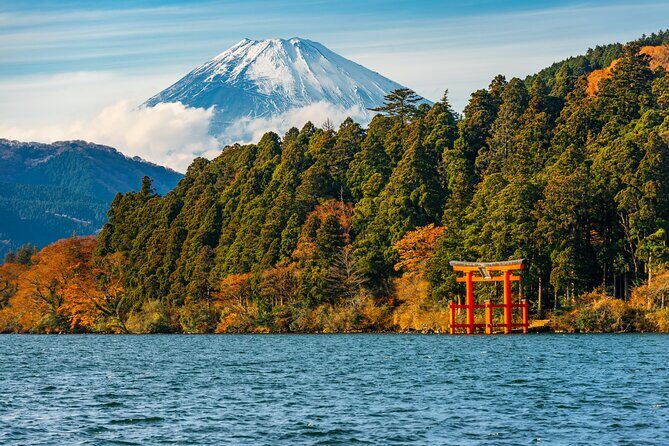 3 Day Japan Highlights Tour: Tokyo, Mt.Fuji, Nara, Kyoto, Osaka - Day 3: Ancient Nara, Kyoto’s Temples, and Osaka’s Dotonbori
