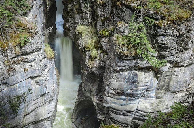 3-Day Jasper and Icefield Tour from Calgary - Final Thoughts: Is This Tour Right for You?