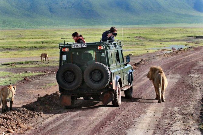 3 Day Joined Group Mid-range Safari Serengeti and Ngorongoro National Park - An In-Depth Look at the Safari Itinerary