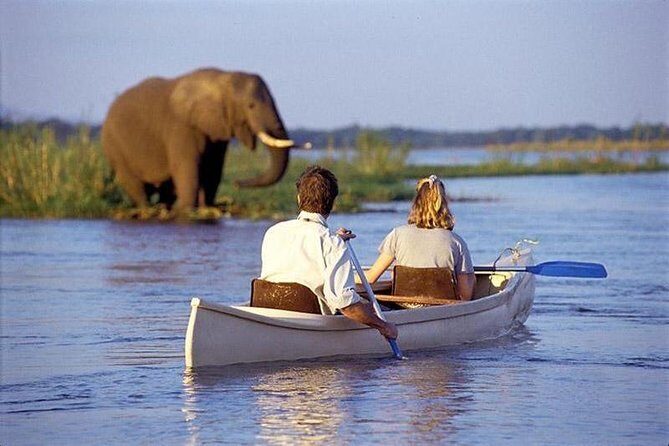 3 Day Joined Group Mid-range Safari Serengeti and Ngorongoro National Park - Final Thoughts
