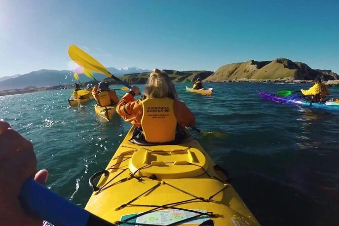3 Day Kaikoura Sealife and Coach Tour from Christchurch - FAQs