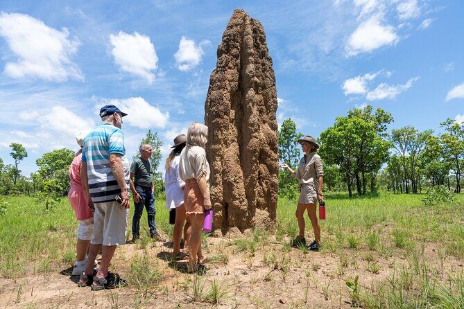 3-Day Kakadu & Litchfield 4WD Camping Adventure from Darwin - Day 1: From Darwin to Kakadu via Mary River Wetlands