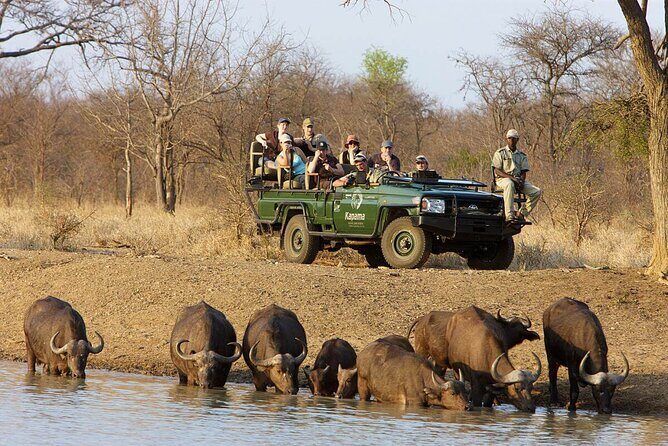 3 Day Kapama Karula Lodge Small Group Guided Safari - Who Will Love This Tour?