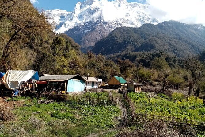 3 Day Kapuche Glacier Lake Trek with Siklesh from Pokhara - Who Should Consider This Trek?