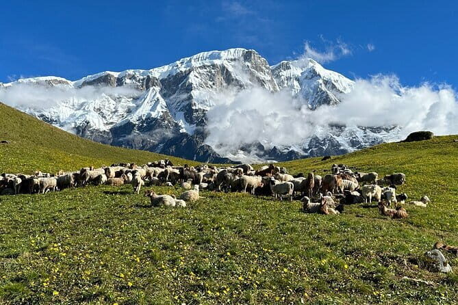 3 Day Kapuche Glacier Lake Trek with Siklesh from Pokhara - The Sum Up
