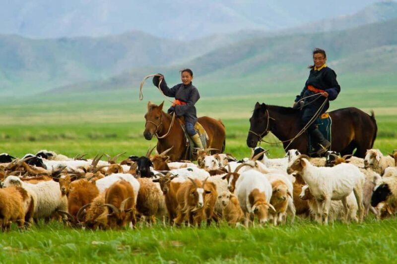 3 day Khar khorum budget tour Central Mongolia - Authentic Experiences and Practical Tips