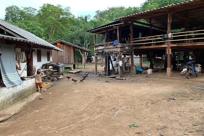 3-Day Kindred Spirit Elephant Sanctuary Chiang Mai - The Sum Up
