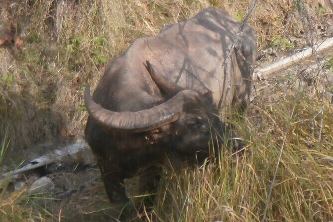 3-Day Komodo National Park Tour: Komodo Island and Rinca Island Trek - Final Thoughts
