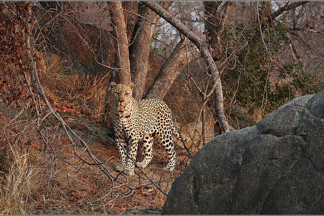 3 Day Kruger National Park and Crocodile River Safari - Who Should Consider This Tour?