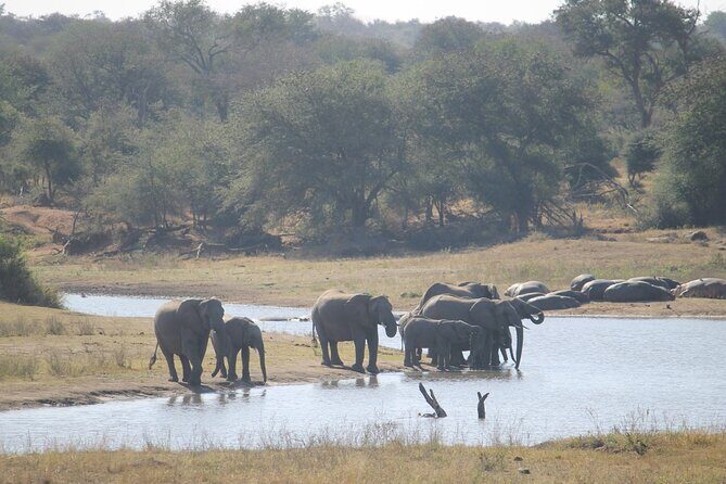 3 Day Kruger National Park and Crocodile River Safari - Frequently Asked Questions