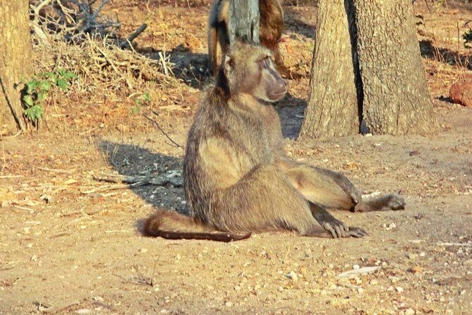 3 Day Kruger National Park Big 5 Safari - Final Thoughts