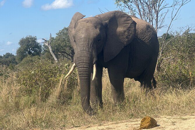 3 day Kruger National Park end with panaroma - A Closer Look at the 3-Day Kruger Safari Experience