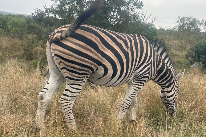 3 day Kruger National Park end with panaroma - The Sum Up: Who’s this tour best for?