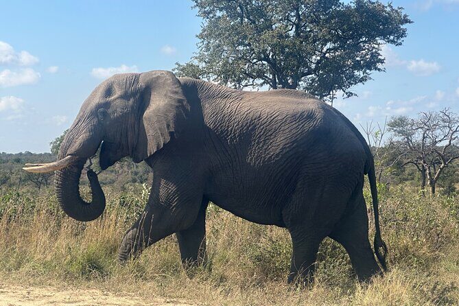 3 day Kruger National Park end with panaroma - FAQ