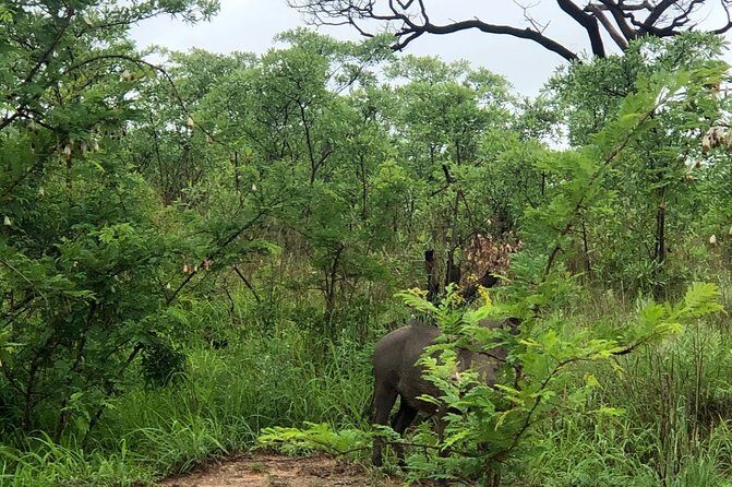 3-Day Kruger National Park Private Safari from Johannesburg - The Itinerary in Detail: What to Expect