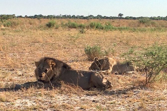 3-Day Kruger National Park Private Safari from Johannesburg - Transportation and Group Size