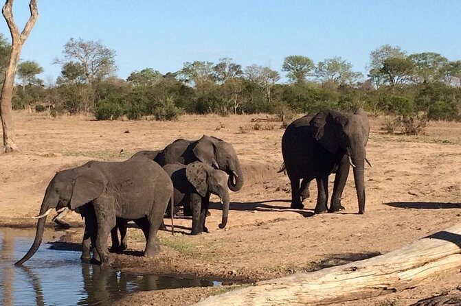 3-Day Kruger National Park Private Safari from Johannesburg - Authentic Wildlife Encounters and Scenery