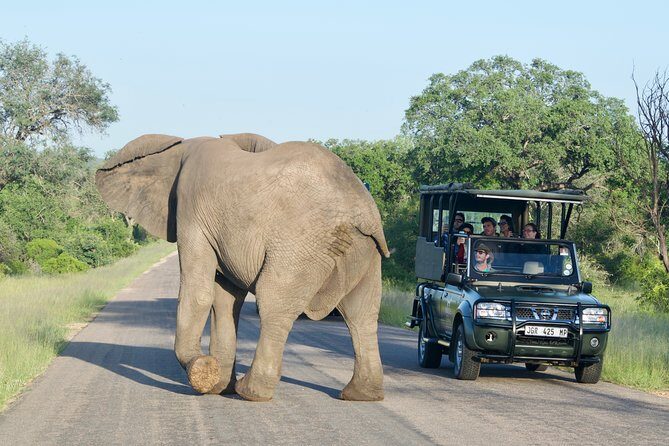 3-Day Kruger National Park Safari including Breakfast and Dinner - Introduction to the Safari Experience