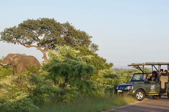 3-Day Kruger National Park Safari including Breakfast and Dinner - The Value of This Safari