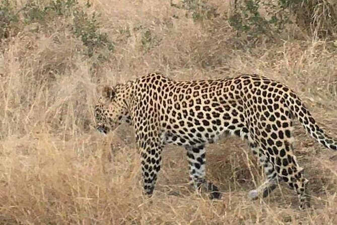 3 Day Kruger National Park Safari & Panorama Route - Closing Remarks
