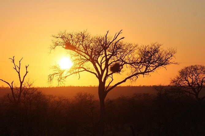 3 Day Kruger National Park tour - An Honest Look at the 3-Day Kruger National Park Tour