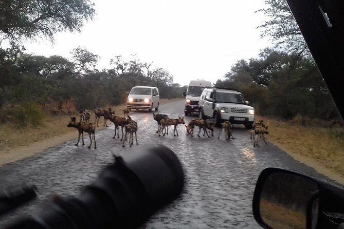 3 Day Kruger National Park tour - Who Is This Tour Best For?