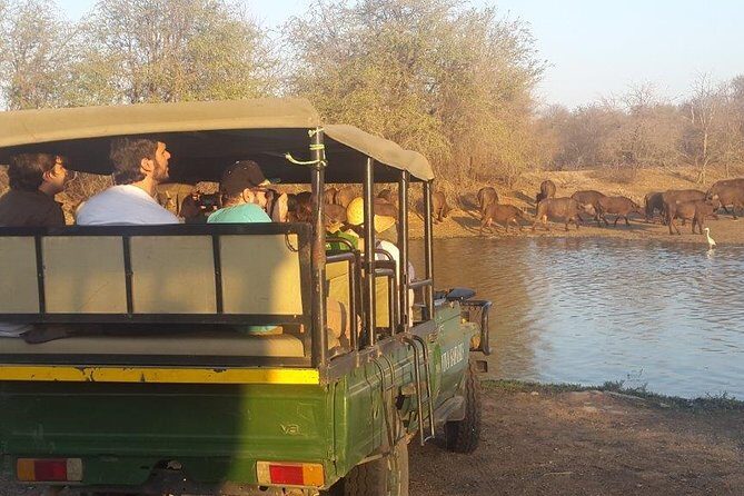 3 Day Lodge/Treehouse Kruger National Park Safari - Frequently Asked Questions