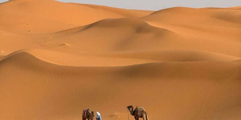 3-Day luxury Adventure: Marrakech to Merzouga incl.Quad/show - Key Points