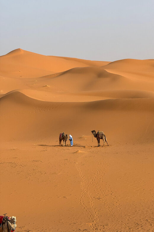 3-Day luxury Adventure: Marrakech to Merzouga incl.Quad/show - An In-Depth Look at the Marrakech to Merzouga 3-Day Tour