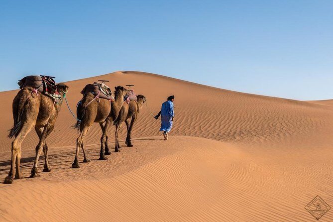 3 Day Luxury Tour: Sahara desert & luxury camp from Marrakech - The Experience in Context: Is It Worth It?