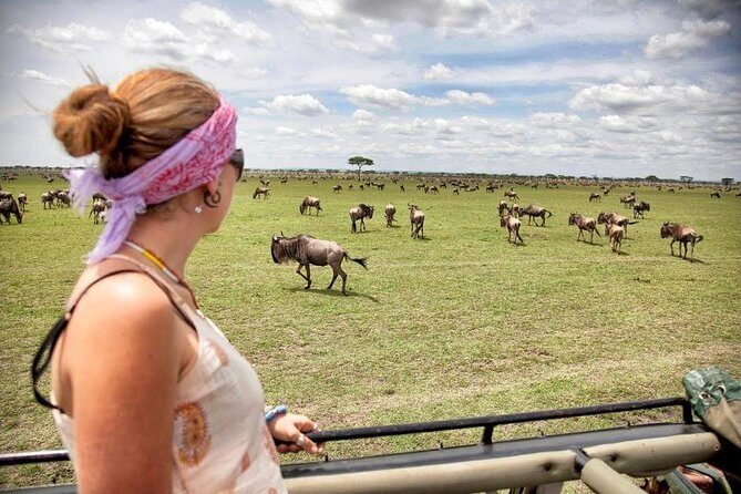 3 Day Maasai Mara Group Joining Camping Safari - Daily Departures - Practical Tips for Future Travelers