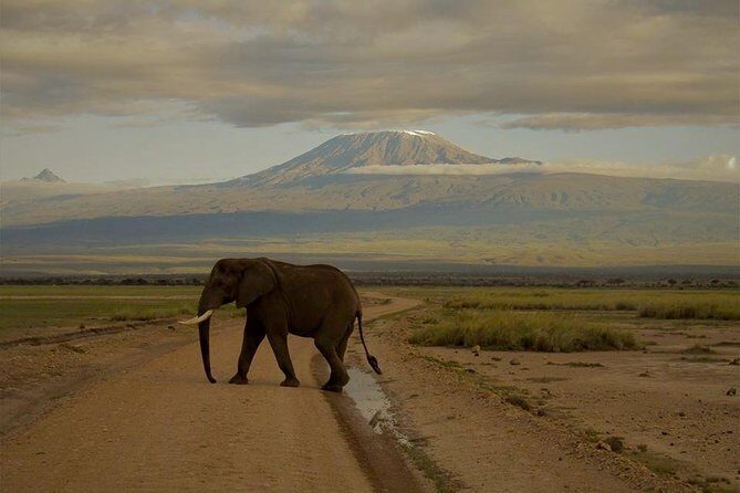 3-Day Maasai Mara Guided Safari From Nairobi - Day 1: Arrival and First Game Drive