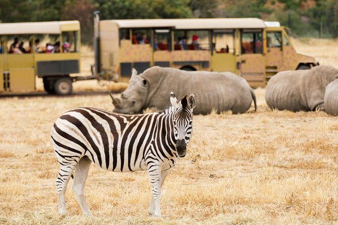 3-Day Maasai Mara Guided Safari From Nairobi - What’s Included and What’s Not