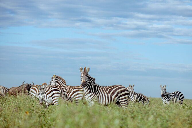 3-Day Manyara, Tarangire and Ngorongoro Crater - An In-Depth Look at the 3-Day Itinerary