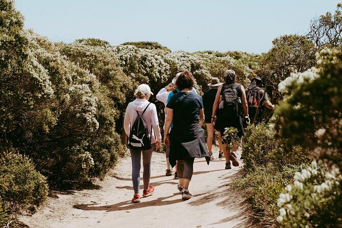 3 Day Margaret River Yoga Wellness Glamping Adventure From Perth - The Value of This Experience