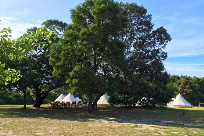 3 Day Margaret River Yoga Wellness Glamping Adventure From Perth - Practical Details and Tips