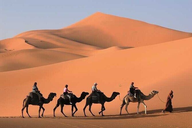 3-Day Marrakech to Merzouga Desert Tour: Camel Rides & Overnights - The Sum Up: Is This Tour Right for You?