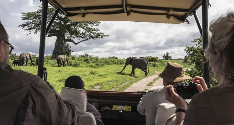 3-Day Masai Mara and Lake Naivasha Safari by 4x4 Jeep - Exploring Kenya’s Top Wildlife and Scenic Spots