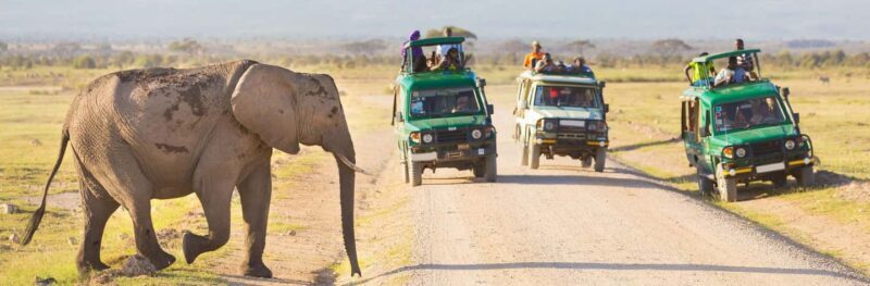 3-Day Masai Mara and Lake Naivasha Safari by 4x4 Jeep - Why Choose This Tour?