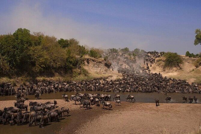 3-Day Masai Mara Group Safari with Pick Up - Key Points