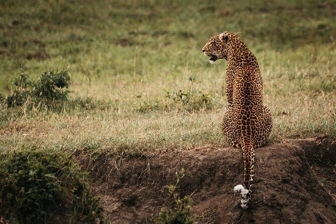 3-Day Masai Mara Luxury Safari - Who Will Love This Safari?