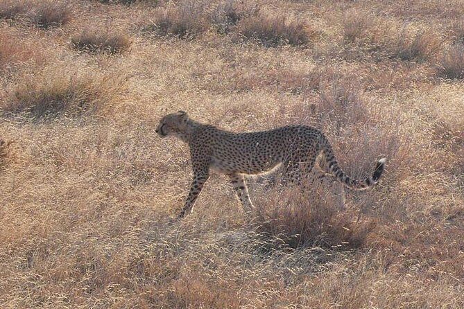 3 Day Masai Mara Safari - FAQ