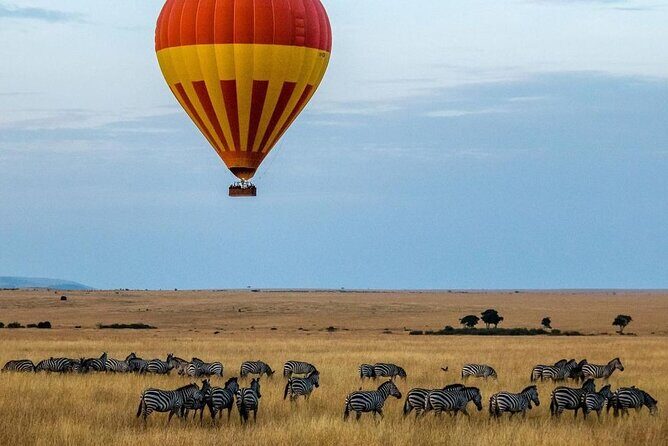 3-Day Masai Mara Safari Tour - Introducing the 3-Day Masai Mara Safari Tour