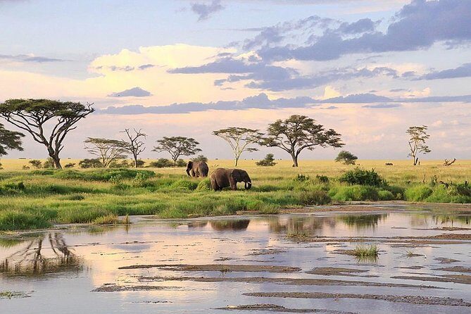 3-day Masai Mara Safari Tour to see the big five and wildebeest migration - Pricing and Value: Is It Worth It?