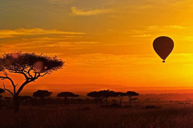 3-day Masai Mara Safari Tour to see the big five and wildebeest migration - The Sum Up: Who Will Love This Safari?