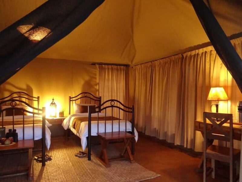 3-Day Meru National Park-Ikweta Safari Camp - A Closer Look at the 3-Day Meru National Park-Ikweta Safari Camp